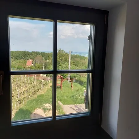 Sun & Wine Balaton Vila *