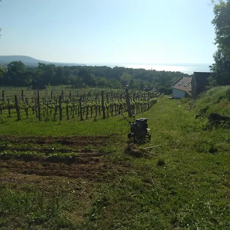 Sun & Wine Balaton * Ábrahámhegy